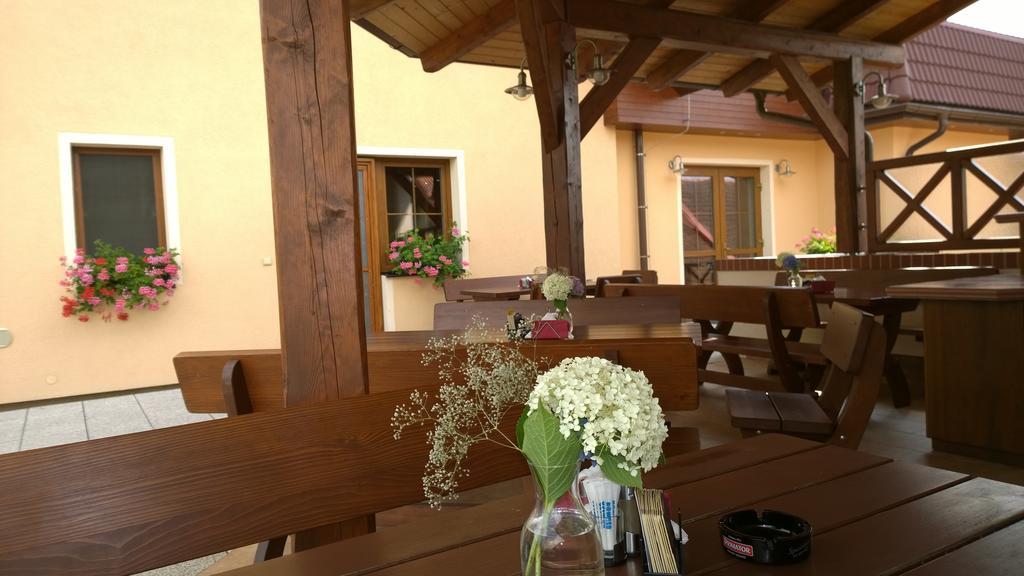 Wellness Penzion Pod Rozhlednou Kostelec nad Orlicí Екстериор снимка