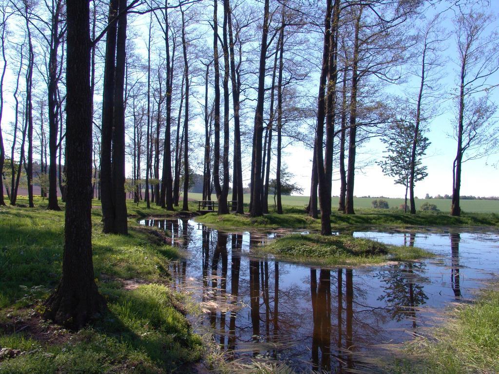 Wellness Penzion Pod Rozhlednou Kostelec nad Orlicí Екстериор снимка